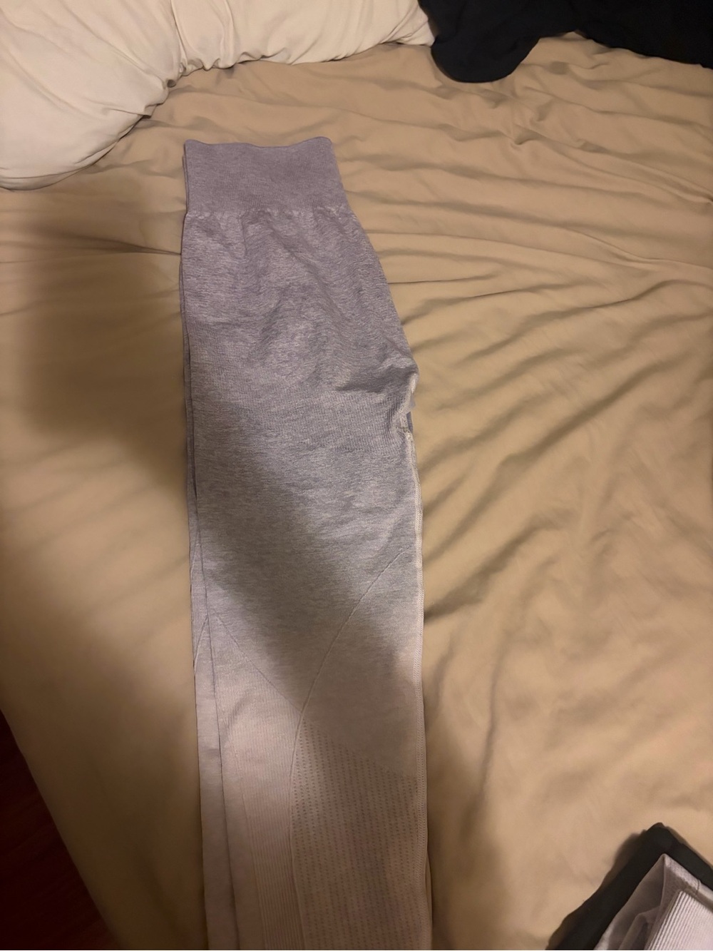 AYBL purple Seamless Leggings